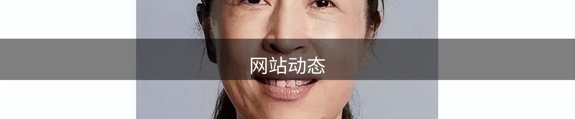 网站动态