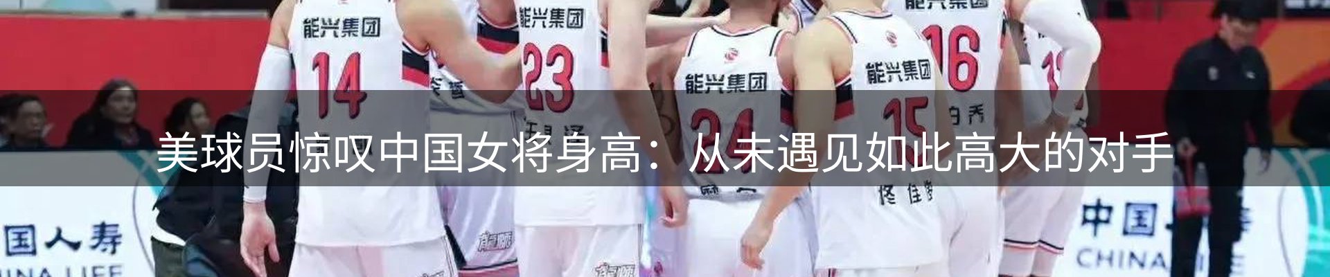 网站动态